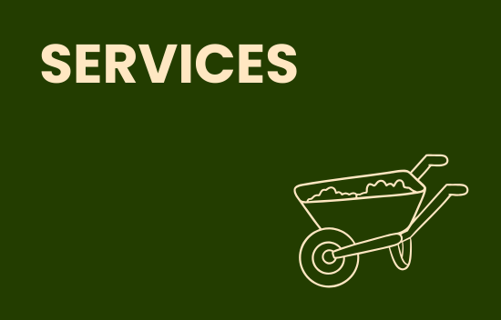 Services