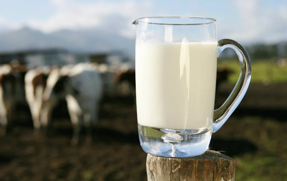 Milk